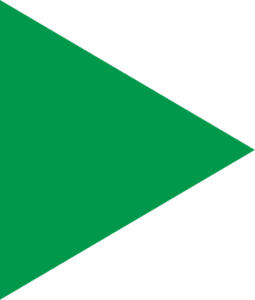 triangulo 2